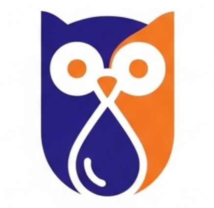 wiselix.com
